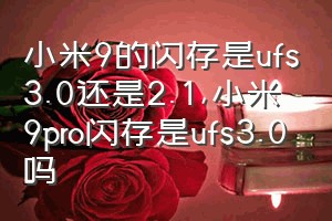 小米9的闪存是ufs3.0还是2.1（小米9pro闪存是ufs3.0吗）