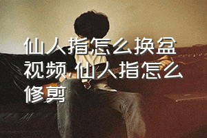 仙人指怎么换盆视频（仙人指怎么修剪）