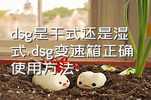 dsg是干式还是湿式（dsg变速箱正确使用方法）