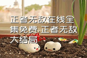 正者无敌在线全集免费（正者无敌大结局）