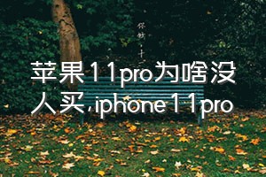苹果11pro为啥没人买（iphone11pro）