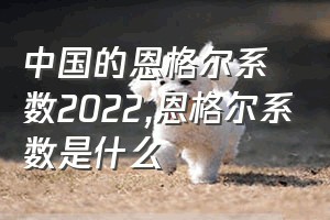 中国的恩格尔系数2022（恩格尔系数是什么）