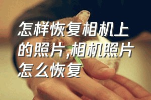 怎样恢复相机上的照片（相机照片怎么恢复）