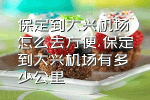 保定到大兴机场怎么去方便（保定到大兴机场有多少公里）