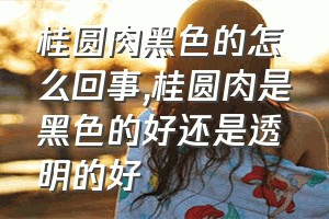 桂圆肉黑色的怎么回事（桂圆肉是黑色的好还是透明的好）