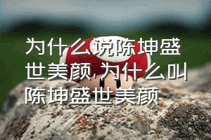 为什么说陈坤盛世美颜（为什么叫陈坤盛世美颜）