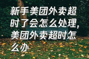 新手美团外卖超时了会怎么处理（美团外卖超时怎么办）