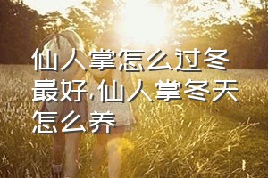 仙人掌怎么过冬最好（仙人掌冬天怎么养）