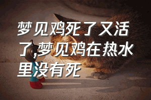 梦见鸡死了又活了（梦见鸡在热水里没有死）