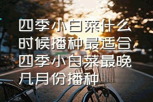 四季小白菜什么时候播种最适合（四季小白菜最晚几月份播种）