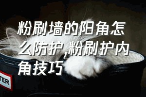 粉刷墙的阳角怎么防护（粉刷护内角技巧）