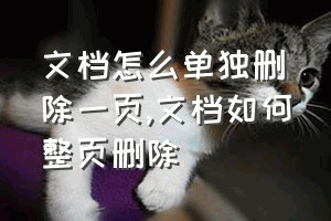 文档怎么单独删除一页（文档如何整页删除）