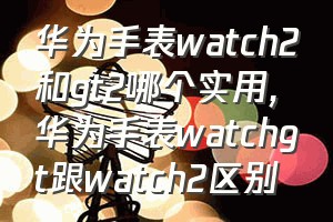 华为手表watch2和gt2哪个实用（华为手表watchgt跟watch2区别）