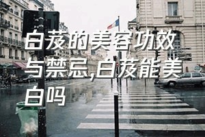 白芨的美容功效与禁忌（白芨能美白吗）