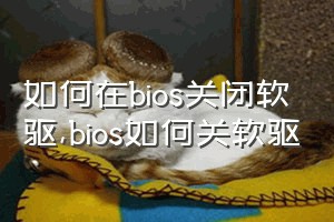 如何在bios关闭软驱（bios如何关软驱）