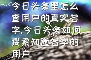 今日头条里怎么查用户的真实名字（今日头条如何搜索知道名字的用户）