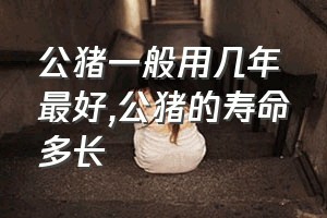 公猪一般用几年最好（公猪的寿命多长）