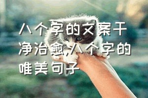 八个字的文案干净治愈（八个字的唯美句子）