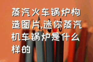 蒸汽火车锅炉构造图片（迷你蒸汽机车锅炉是什么样的）