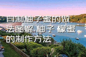 自制柚子蜜的做法图解（柚子檸檬蜜的制作方法）