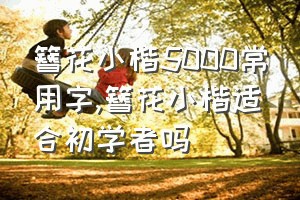 簪花小楷5000常用字（簪花小楷适合初学者吗）