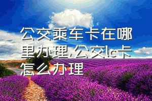 公交乘车卡在哪里办理（公交lc卡怎么办理）