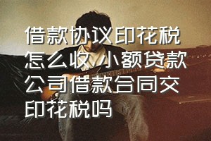 借款协议印花税怎么收（小额贷款公司借款合同交印花税吗）