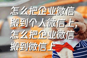 怎么把企业微信搬到个人微信上（怎么把企业微信搬到微信上）