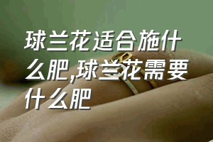 球兰花适合施什么肥（球兰花需要什么肥）