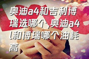 奥迪a4和吉利博瑞选哪个（奥迪a4l和博瑞哪个油耗高）