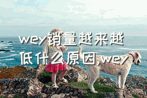 wey销量越来越低什么原因（wey）