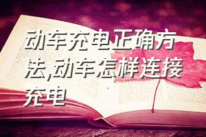 动车充电正确方法（动车怎样连接充电）