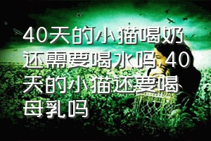 40天的小猫喝奶还需要喝水吗（40天的小猫还要喝母乳吗）