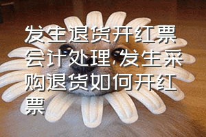 发生退货开红票会计处理（发生采购退货如何开红票）