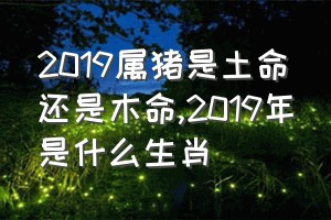 2019属猪是土命还是木命（2019年是什么生肖）