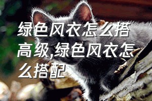 绿色风衣怎么搭高级（绿色风衣怎么搭配）