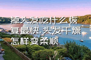 掉头发吃什么恢复最快（头发干燥怎样变柔顺）