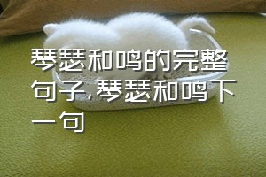 琴瑟和鸣的完整句子（琴瑟和鸣下一句）