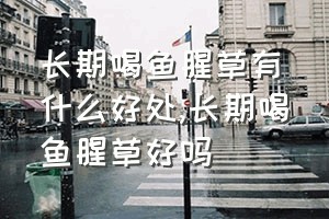 长期喝鱼腥草有什么好处（长期喝鱼腥草好吗）