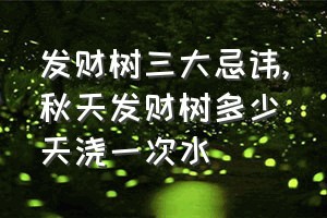 发财树三大忌讳（秋天发财树多少天浇一次水）