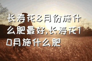 长寿花8月份施什么肥最好（长寿花10月施什么肥）