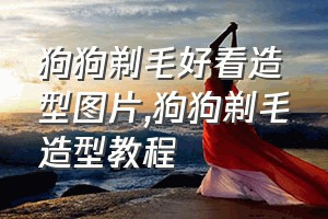 狗狗剃毛好看造型图片（狗狗剃毛造型教程）