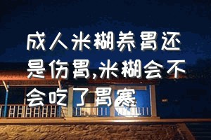 成人米糊养胃还是伤胃（米糊会不会吃了胃寒）