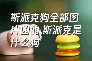 斯派克狗全部图片凶的（斯派克是什么狗）