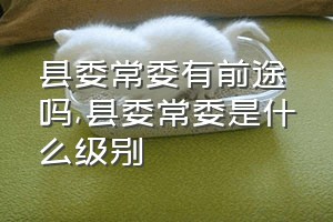 县委常委有前途吗（县委常委是什么级别）