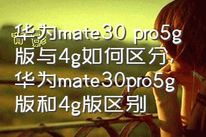 华为mate30 pro5g版与4g如何区分（华为mate30pro5g版和4g版区别）