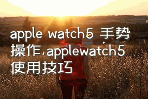 apple watch5 手势操作（applewatch5使用技巧）