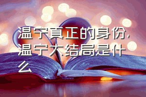 温宁真正的身份（温宁大结局是什么）