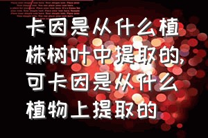 卡因是从什么植株树叶中提取的（可卡因是从什么植物上提取的）