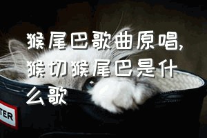 猴尾巴歌曲原唱（猴切猴尾巴是什么歌）